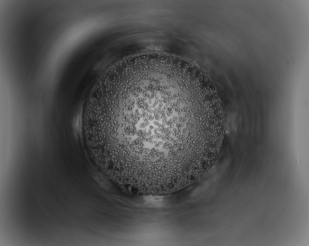 X0000092020052200710041051