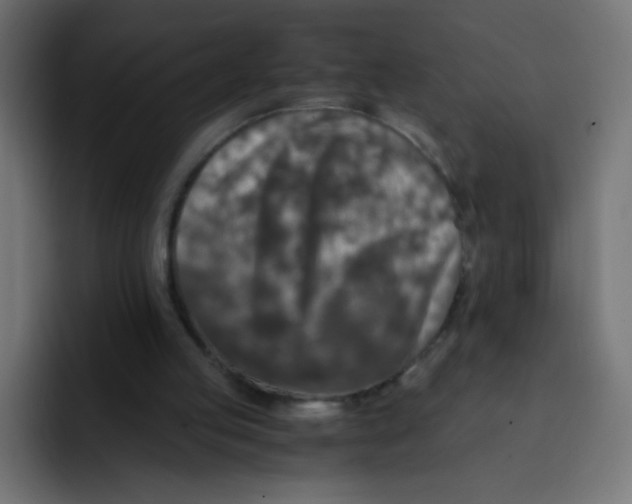 X0000092020053200710041051