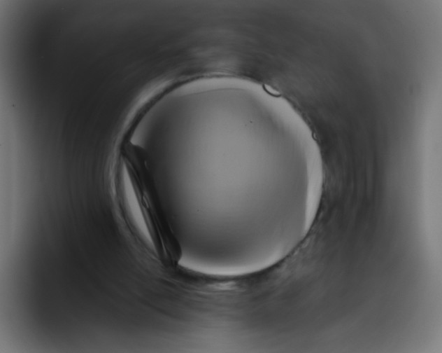 X0000092020054200710041051