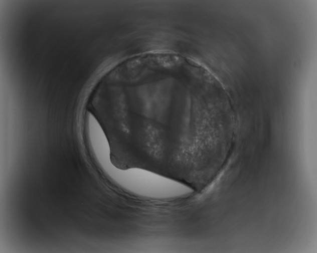 X0000092020055200710041051