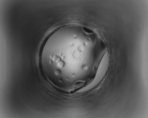 X0000092020056200710041051