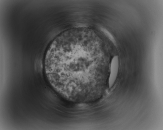 X0000092020059200710041051