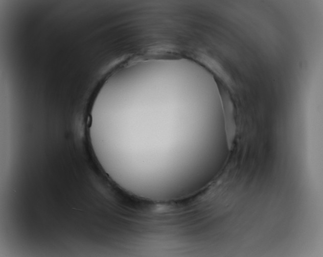 X0000092020060200710041051