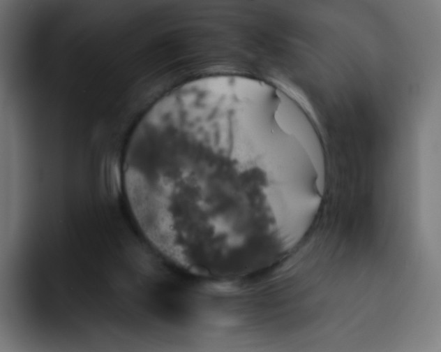 X0000092020061200710041051