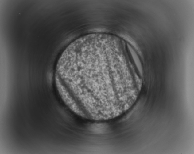 X0000092020063200710041051