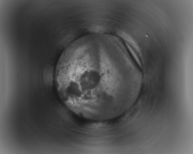 X0000092020065200710041051