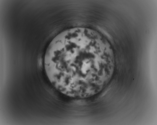 X0000092020067200710041051