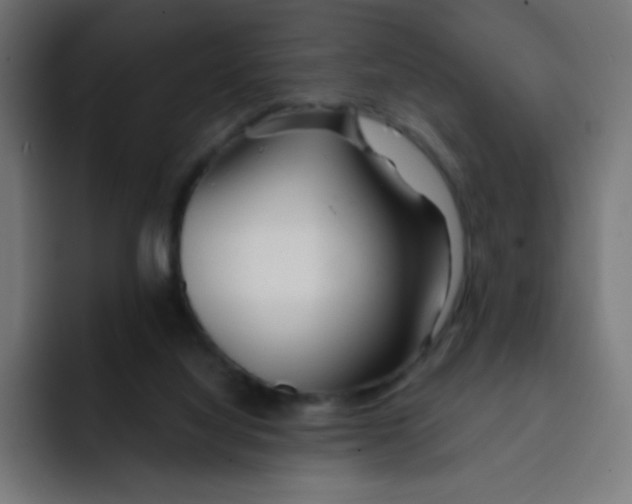 X0000092020068200710041051