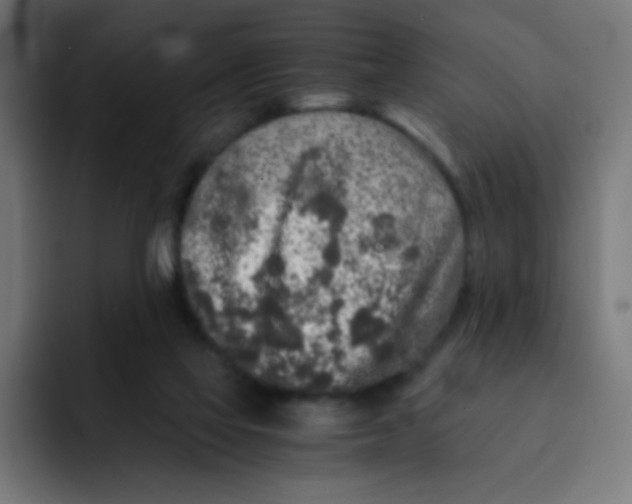 X0000092020069200710041051