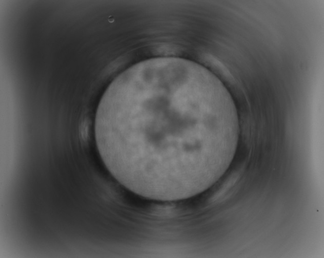 X0000092020071200710041051