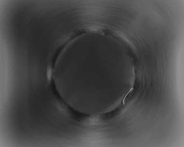 X0000092020076200710041051