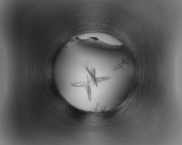 X0000092020078200710041051