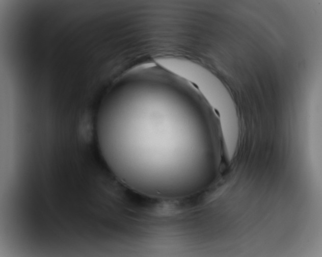 X0000092020080200710041051