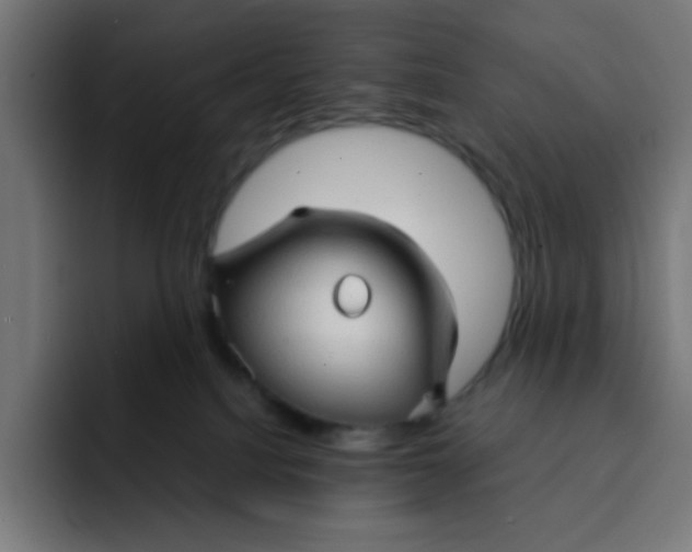 X0000092020088200710041051