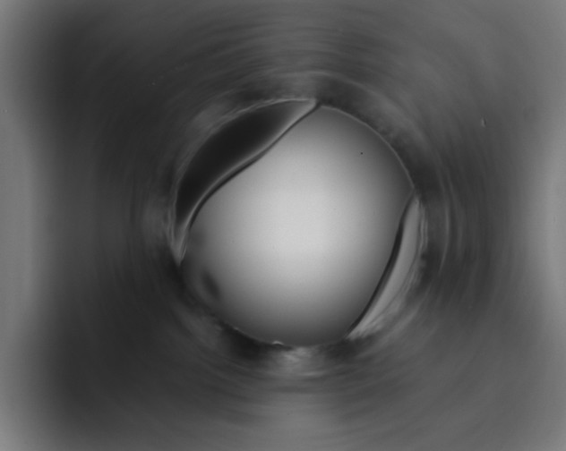 X0000092020092200710041051