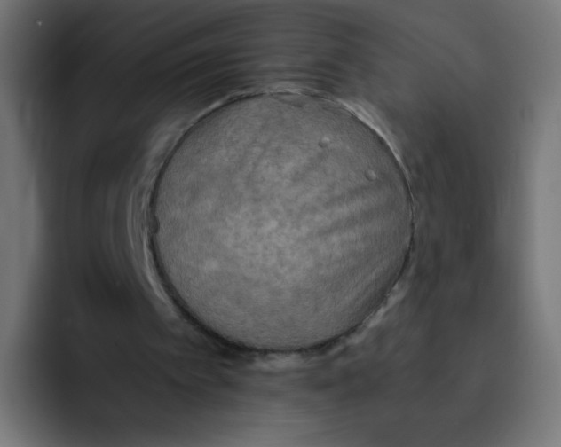 X0000092020097200710041051