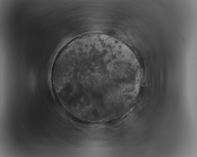 X0000092020099200710041051