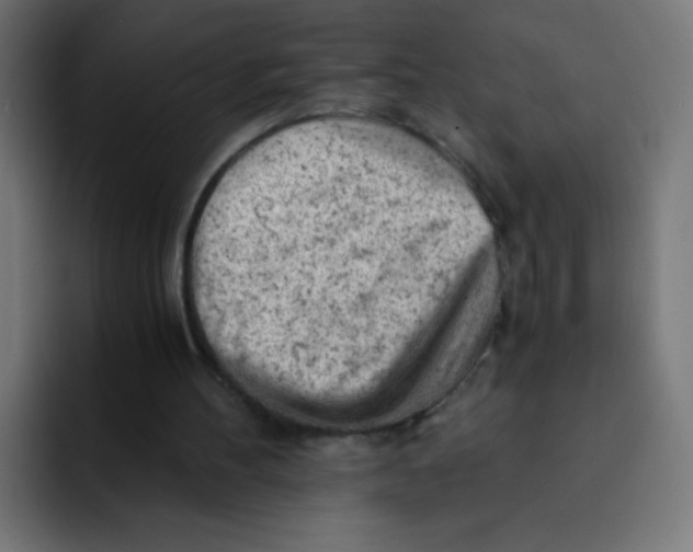 X0000092020100200710041051