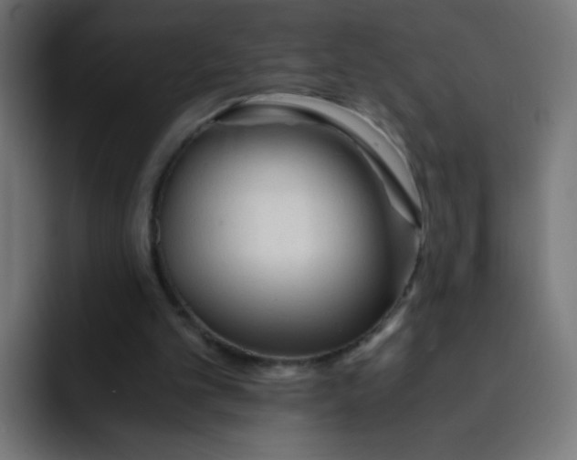 X0000092020101200710041051