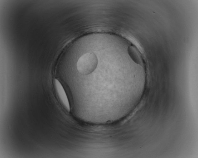 X0000092020105200710041050