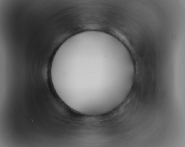 X0000092020106200710041050