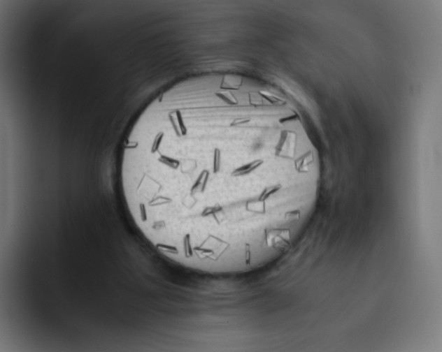 X0000092020107200710041050