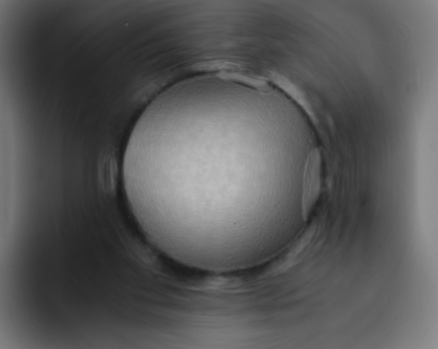 X0000092020109200710041050