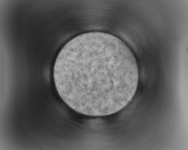 X0000092020112200710041050