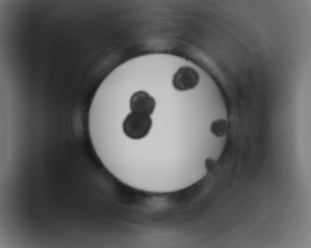 X0000092020114200710041050