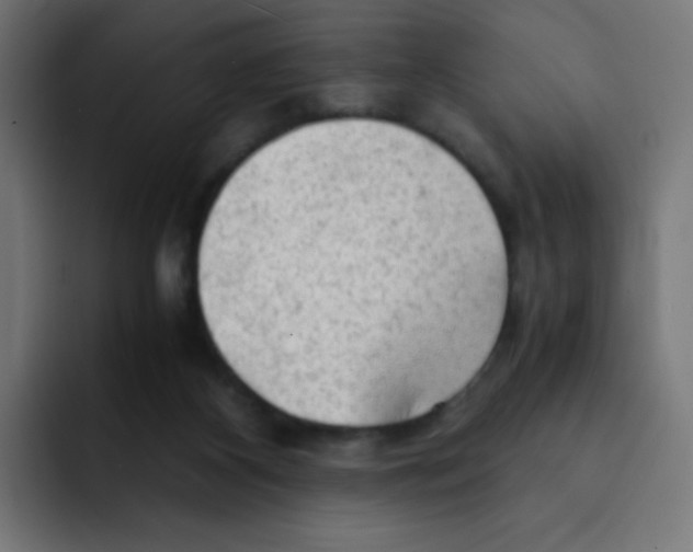 X0000092020116200710041050