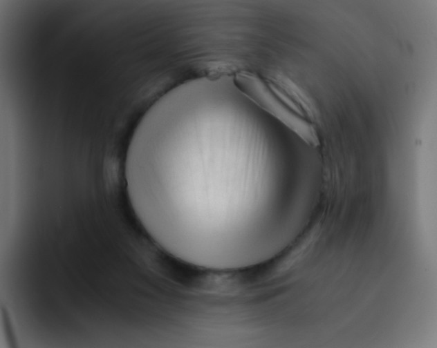 X0000092020117200710041050