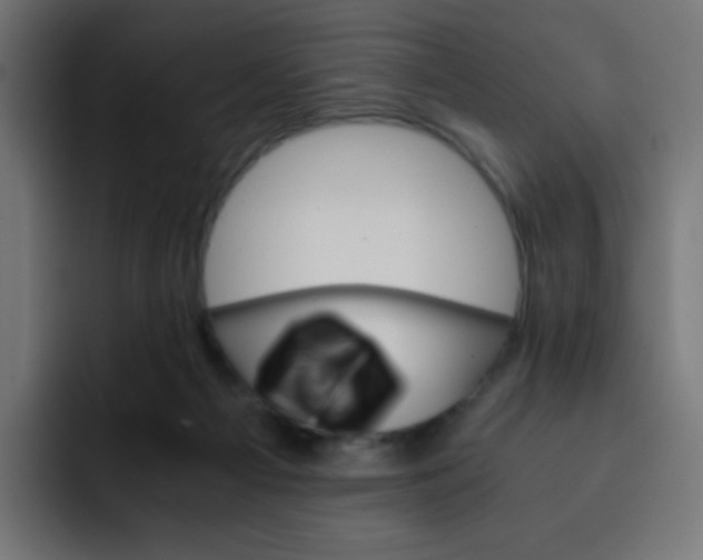 X0000092020121200710041050