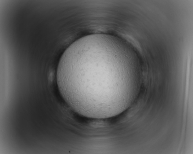 X0000092020123200710041050