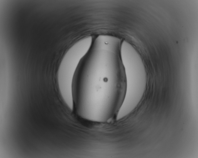 X0000092020125200710041050