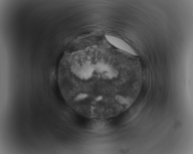 X0000092020127200710041050