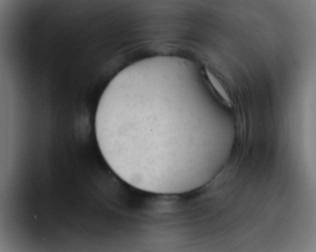 X0000092020128200710041050