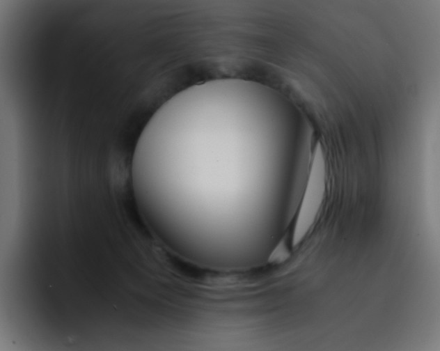 X0000092020129200710041050