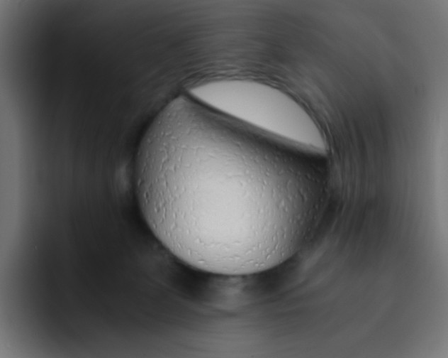 X0000092020131200710041050