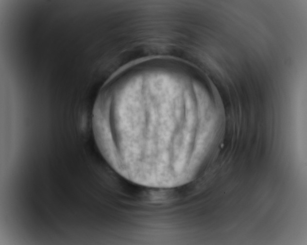 X0000092020134200710041050