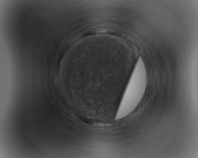 X0000092020137200710041050