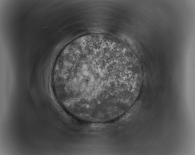 X0000092020145200710041049