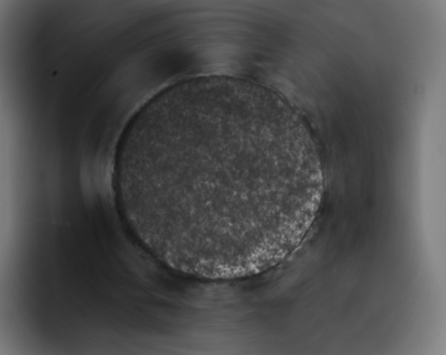 X0000092020146200710041049