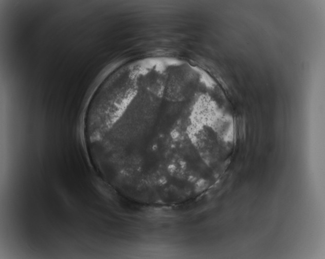 X0000092020147200710041049