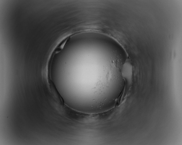 X0000092020148200710041049