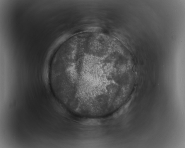 X0000092020149200710041049