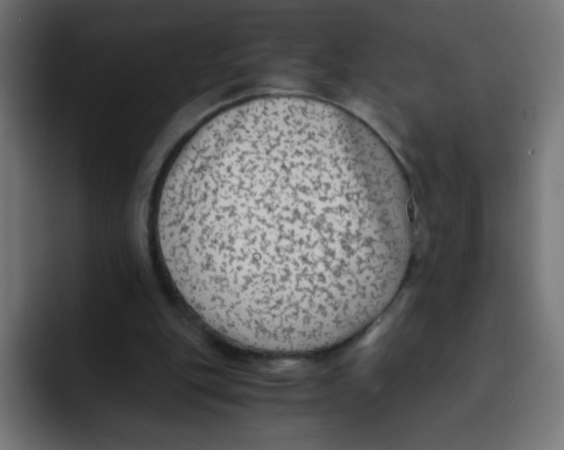 X0000092020151200710041050