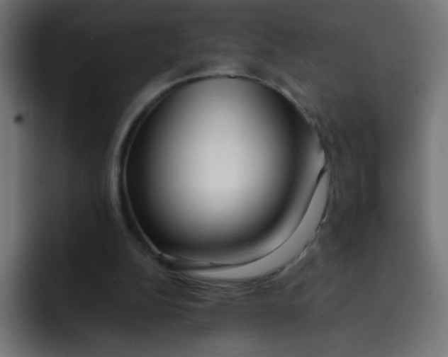 X0000092020152200710041050