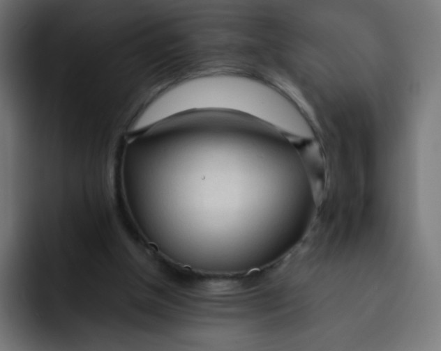 X0000092020154200710041050