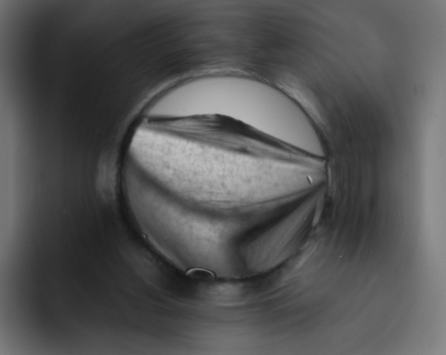 X0000092020156200710041050