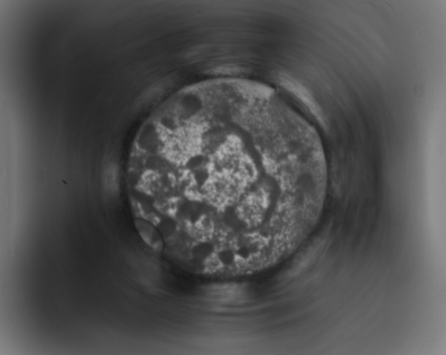 X0000092020161200710041050